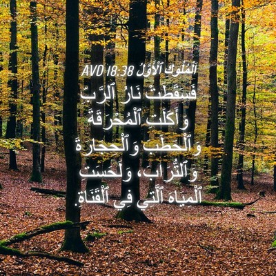 Picture 04 - اَلْمُلُوكِ ٱلْأَوَّلُ 18:38 AVD - فَسَقَطَتْ نَارُ ٱلرَّبِّ - Bible Verse Picture