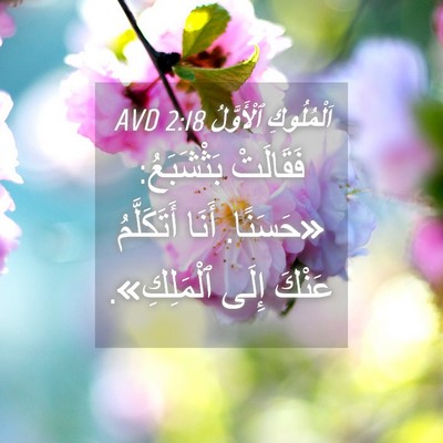 Picture 04 - اَلْمُلُوكِ ٱلْأَوَّلُ 2:18 AVD - فَقَالَتْ بَثْشَبَعُ: - Bible Verse Picture