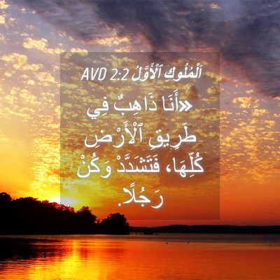Picture 04 - اَلْمُلُوكِ ٱلْأَوَّلُ 2:2 AVD - «أَنَا ذَاهِبٌ فِي طَرِيقِ - Bible Verse Picture