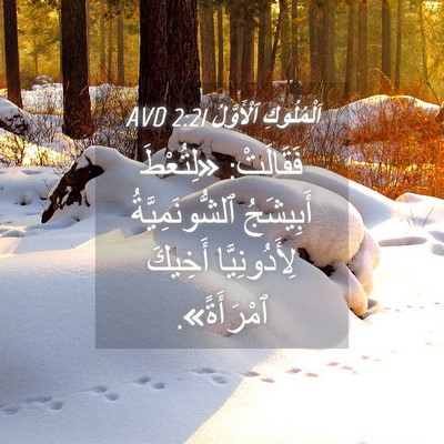 Picture 04 - اَلْمُلُوكِ ٱلْأَوَّلُ 2:21 AVD - فَقَالَتْ: «لِتُعْطَ - Bible Verse Picture