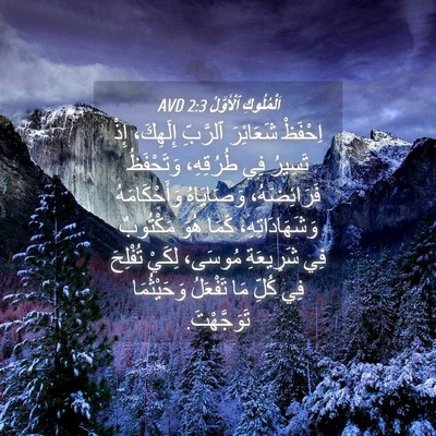 Picture 04 - اَلْمُلُوكِ ٱلْأَوَّلُ 2:3 AVD - اِحْفَظْ شَعَائِرَ - Bible Verse Picture