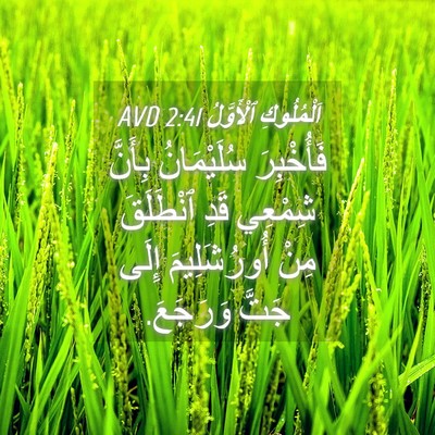Picture 04 - اَلْمُلُوكِ ٱلْأَوَّلُ 2:41 AVD - فَأُخْبِرَ سُلَيْمَانُ - Bible Verse Picture