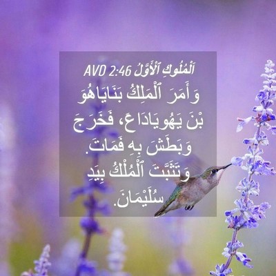 Picture 04 - اَلْمُلُوكِ ٱلْأَوَّلُ 2:46 AVD - وَأَمَرَ ٱلْمَلِكُ - Bible Verse Picture