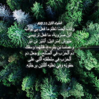 Picture 04 - اَلْمُلُوكِ ٱلْأَوَّلُ 2:5 AVD - وَأَنْتَ أَيْضًا تَعْلَمُ - Bible Verse Picture