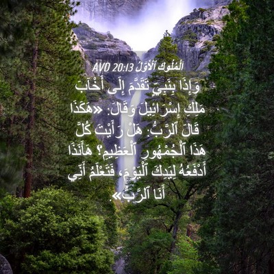 Picture 04 - اَلْمُلُوكِ ٱلْأَوَّلُ 20:13 AVD - وَإِذَا بِنَبِيٍّ - Bible Verse Picture