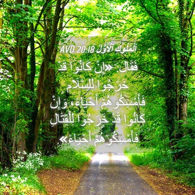 Picture 04 - اَلْمُلُوكِ ٱلْأَوَّلُ 20:18 AVD - فَقَالَ: «إِنْ كَانُوا - Bible Verse Picture