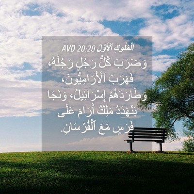 Picture 04 - اَلْمُلُوكِ ٱلْأَوَّلُ 20:20 AVD - وَضَرَبَ كُلُّ رَجُلٍ - Bible Verse Picture