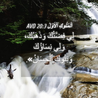 Picture 04 - اَلْمُلُوكِ ٱلْأَوَّلُ 20:3 AVD - لِي فِضَّتُكَ وَذَهَبُكَ، - Bible Verse Picture