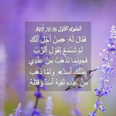 Picture 04 - اَلْمُلُوكِ ٱلْأَوَّلُ 20:36 AVD - فَقَالَ لَهُ: «مِنْ أَجْلِ - Bible Verse Picture