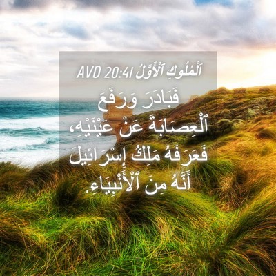 Picture 04 - اَلْمُلُوكِ ٱلْأَوَّلُ 20:41 AVD - فَبَادَرَ وَرَفَعَ - Bible Verse Picture