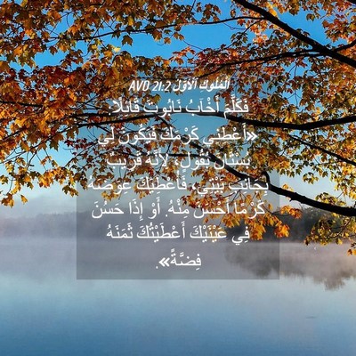 Picture 04 - اَلْمُلُوكِ ٱلْأَوَّلُ 21:2 AVD - فَكَلَّمَ أَخْآبُ - Bible Verse Picture