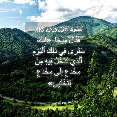 Picture 04 - اَلْمُلُوكِ ٱلْأَوَّلُ 22:25 AVD - فَقَالَ مِيخَا: «إِنَّكَ - Bible Verse Picture
