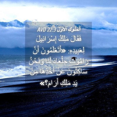 Picture 04 - اَلْمُلُوكِ ٱلْأَوَّلُ 22:3 AVD - فَقَالَ مَلِكُ - Bible Verse Picture