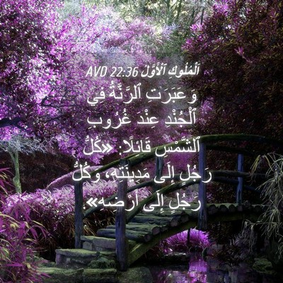 Picture 04 - اَلْمُلُوكِ ٱلْأَوَّلُ 22:36 AVD - وَعَبَرَتِ ٱلرَّنَّةُ فِي - Bible Verse Picture