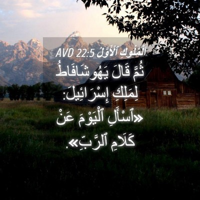 Picture 04 - اَلْمُلُوكِ ٱلْأَوَّلُ 22:5 AVD - ثُمَّ قَالَ يَهُوشَافَاطُ - Bible Verse Picture