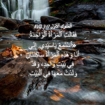 Picture 04 - اَلْمُلُوكِ ٱلْأَوَّلُ 3:17 AVD - فَقَالَتِ ٱلْمَرْأَةُ - Bible Verse Picture