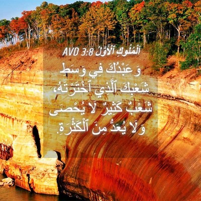 Picture 04 - اَلْمُلُوكِ ٱلْأَوَّلُ 3:8 AVD - وَعَبْدُكَ فِي وَسَطِ - Bible Verse Picture