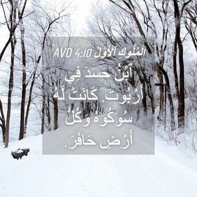 Picture 04 - اَلْمُلُوكِ ٱلْأَوَّلُ 4:10 AVD - ٱبْنُ حَسَدَ فِي - Bible Verse Picture