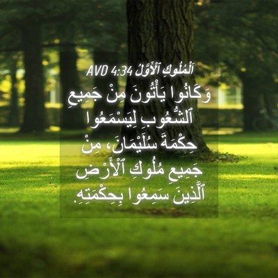 Picture 04 - اَلْمُلُوكِ ٱلْأَوَّلُ 4:34 AVD - وَكَانُوا يَأْتُونَ مِنْ - Bible Verse Picture