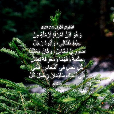 Picture 04 - اَلْمُلُوكِ ٱلْأَوَّلُ 7:14 AVD - وَهُوَ ٱبْنُ ٱمْرَأَةٍ - Bible Verse Picture