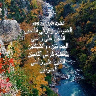 Picture 04 - اَلْمُلُوكِ ٱلْأَوَّلُ 7:41 AVD - ٱلْعَمُودَيْنِ وَكُرَتَيِ - Bible Verse Picture