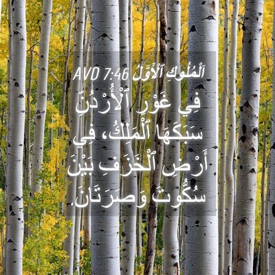 Picture 04 - اَلْمُلُوكِ ٱلْأَوَّلُ 7:46 AVD - فِي غَوْرِ ٱلْأُرْدُنِّ - Bible Verse Picture
