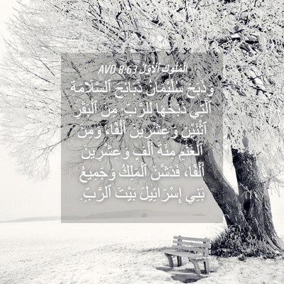 Picture 04 - اَلْمُلُوكِ ٱلْأَوَّلُ 8:63 AVD - وَذَبَحَ سُلَيْمَانُ - Bible Verse Picture