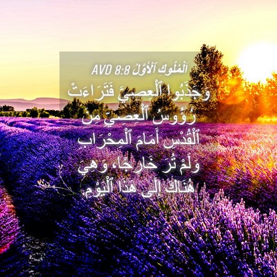 Picture 04 - اَلْمُلُوكِ ٱلْأَوَّلُ 8:8 AVD - وَجَذَبُوا ٱلْعِصِيَّ - Bible Verse Picture