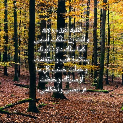 Picture 04 - اَلْمُلُوكِ ٱلْأَوَّلُ 9:4 AVD - وَأَنْتَ إِنْ سَلَكْتَ - Bible Verse Picture