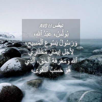 Picture 04 - تِيطُس 1:1 AVD - بُولُسُ، عَبْدُ ٱللهِ، - Bible Verse Picture