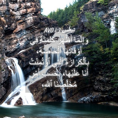 Picture 04 - تِيطُس 1:3 AVD - وَإِنَّمَا أَظْهَرَ - Bible Verse Picture