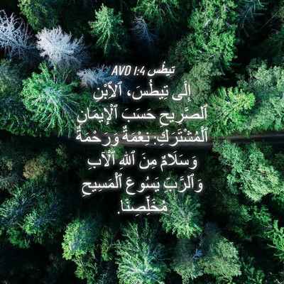 Picture 04 - تِيطُس 1:4 AVD - إِلَى تِيطُسَ، ٱلِٱبْنِ - Bible Verse Picture