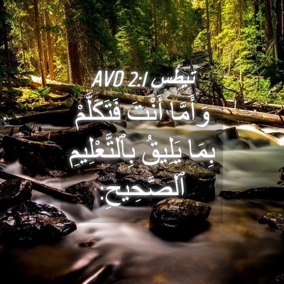Picture 04 - تِيطُس 2:1 AVD - وَأَمَّا أَنْتَ - Bible Verse Picture