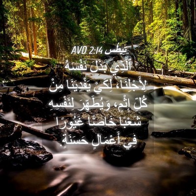Picture 04 - تِيطُس 2:14 AVD - ٱلَّذِي بَذَلَ نَفْسَهُ - Bible Verse Picture