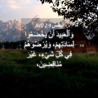 Picture 04 - تِيطُس 2:9 AVD - وَٱلْعَبِيدَ أَنْ - Bible Verse Picture