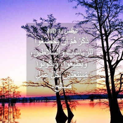 Picture 04 - تِيطُس 3:1 AVD - ذَكِّرْهُمْ أَنْ - Bible Verse Picture