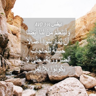 Picture 04 - تِيطُس 3:14 AVD - وَلْيَتَعَلَّمْ مَنْ - Bible Verse Picture