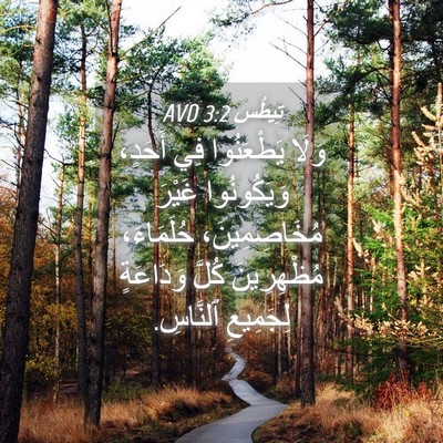Picture 04 - تِيطُس 3:2 AVD - وَلَا يَطْعَنُوا فِي - Bible Verse Picture
