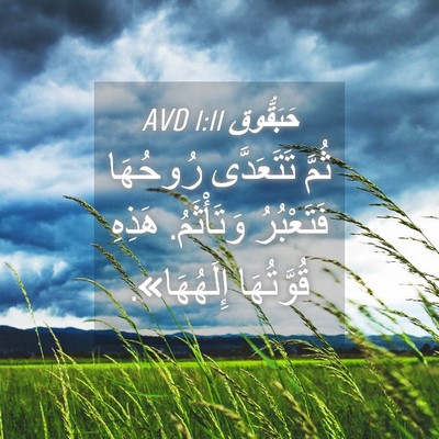 Picture 04 - حَبَقُّوق 1:11 AVD - ثُمَّ تَتَعَدَّى رُوحُهَا - Bible Verse Picture