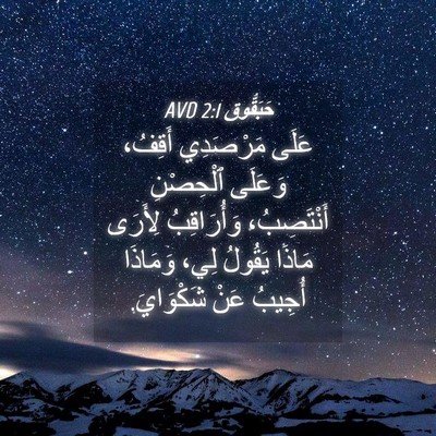 Picture 04 - حَبَقُّوق 2:1 AVD - عَلَى مَرْصَدِي أَقِفُ، - Bible Verse Picture