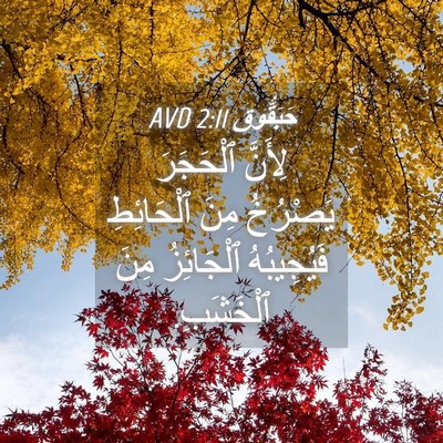 Picture 04 - حَبَقُّوق 2:11 AVD - لِأَنَّ ٱلْحَجَرَ - Bible Verse Picture