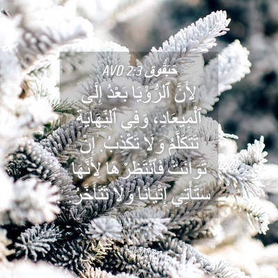 Picture 04 - حَبَقُّوق 2:3 AVD - لِأَنَّ ٱلرُّؤْيَا بَعْدُ - Bible Verse Picture