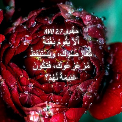 Picture 04 - حَبَقُّوق 2:7 AVD - أَلَا يَقُومُ بَغْتَةً - Bible Verse Picture