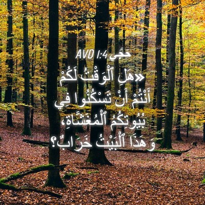 Picture 04 - حَجَّي 1:4 AVD - «هَلِ ٱلْوَقْتُ لَكُمْ - Bible Verse Picture
