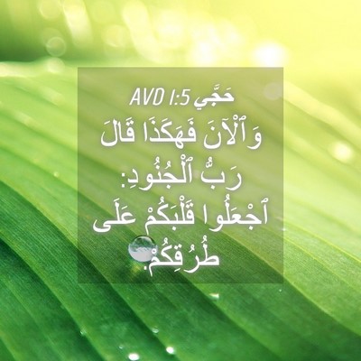 Picture 04 - حَجَّي 1:5 AVD - وَٱلْآنَ فَهَكَذَا قَالَ - Bible Verse Picture