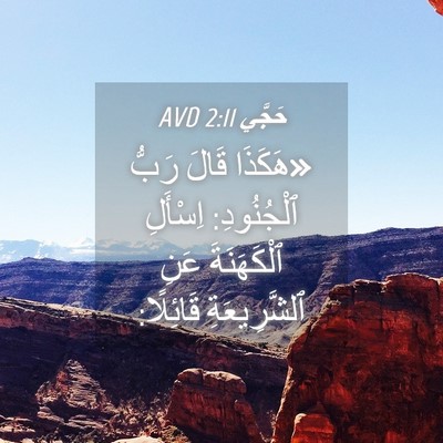 Picture 04 - حَجَّي 2:11 AVD - «هَكَذَا قَالَ رَبُّ - Bible Verse Picture