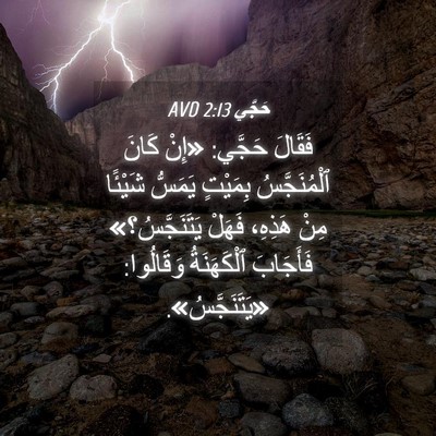 Picture 04 - حَجَّي 2:13 AVD - فَقَالَ حَجَّي: «إِنْ - Bible Verse Picture