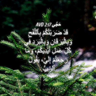Picture 04 - حَجَّي 2:17 AVD - قَدْ ضَرَبْتُكُمْ - Bible Verse Picture