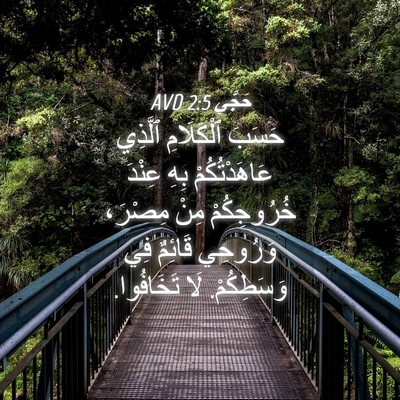 Picture 04 - حَجَّي 2:5 AVD - حَسَبَ ٱلْكَلَامِ ٱلَّذِي - Bible Verse Picture