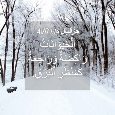 Picture 04 - حِزْقِيَال 1:14 AVD - ٱلْحَيَوَانَاتُ رَاكِضَةٌ - Bible Verse Picture